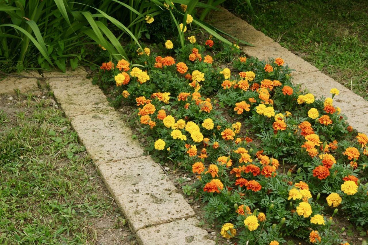 B&B The Secret Garden Buia Luaran gambar